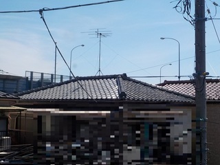 006.JPG