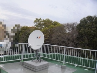 009.JPG
