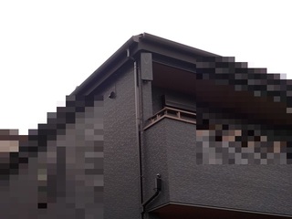 009.JPG