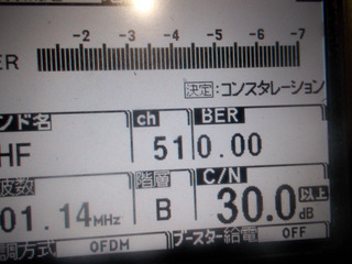 010.JPG