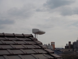 012.JPG